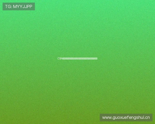 CBA官方网站入口权威指南助你全面了解赛事资讯与服务平台信息