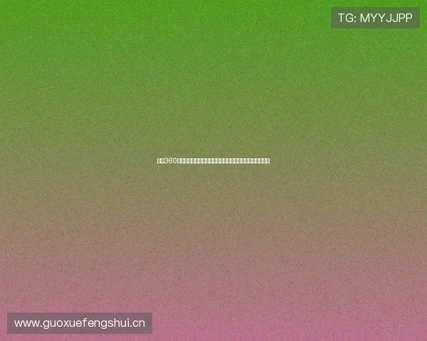 雨燕360体育直播打造全方位赛事观看与精彩互动体验平台服务升级