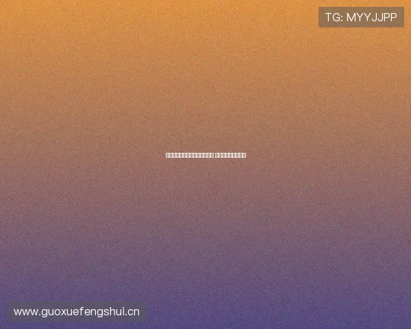 乐视体育视频直播平台全新升级 多元化赛事精彩呈现